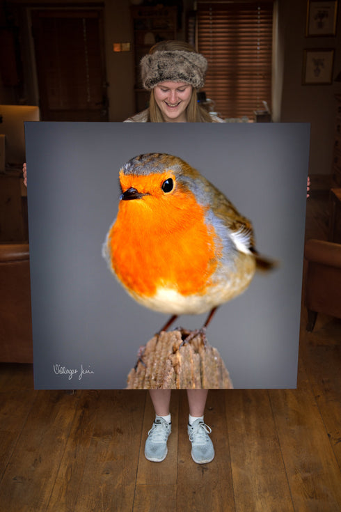 JUMBO ART - CHOCOLATE & RASPBERRY - HUGE 1 Metre Square Canvas